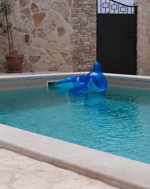 dolphin toy in the pool