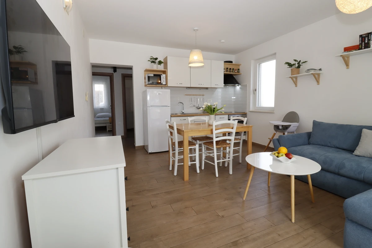 apartment-1 living room