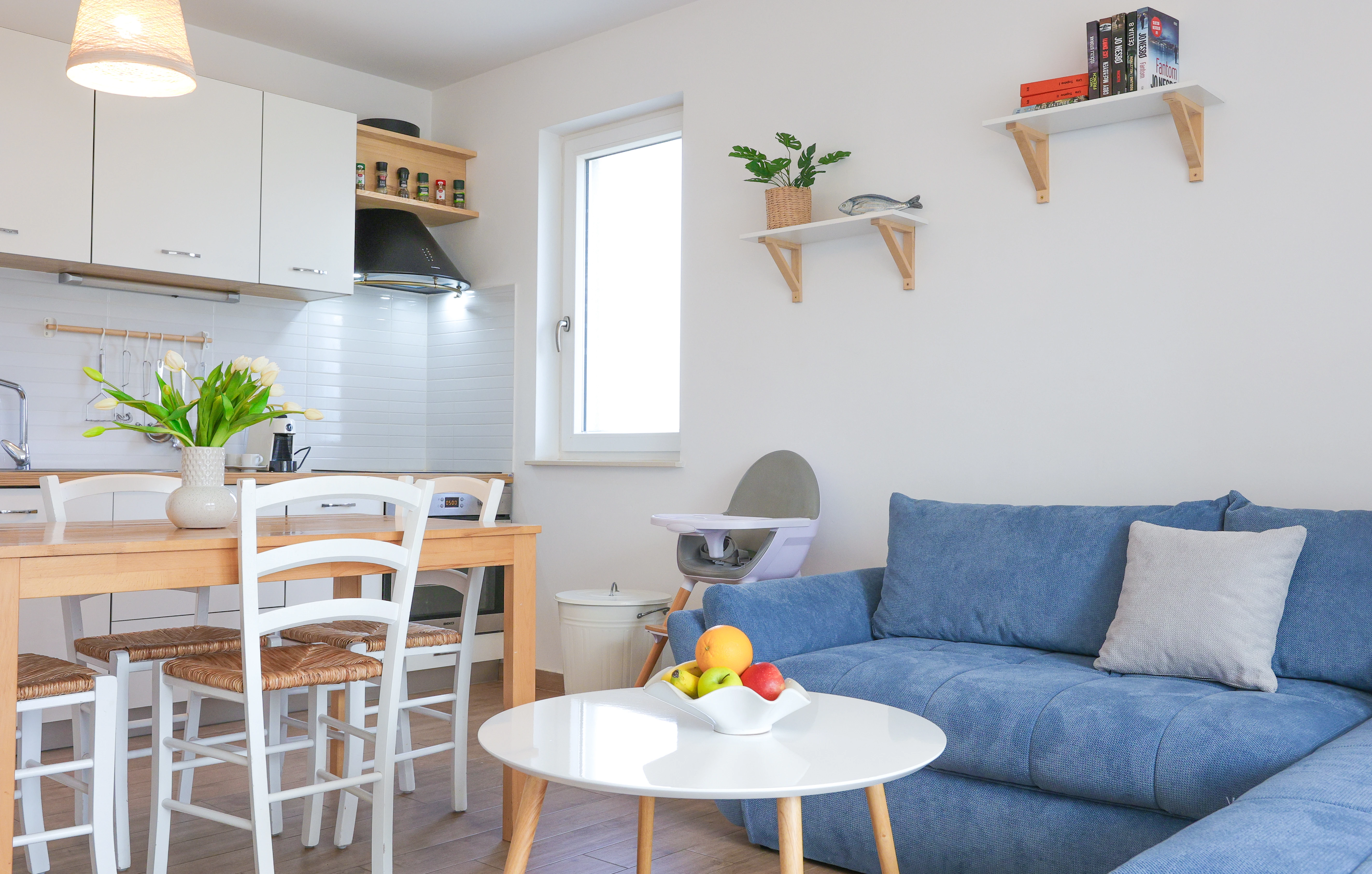 apartment-1 living room