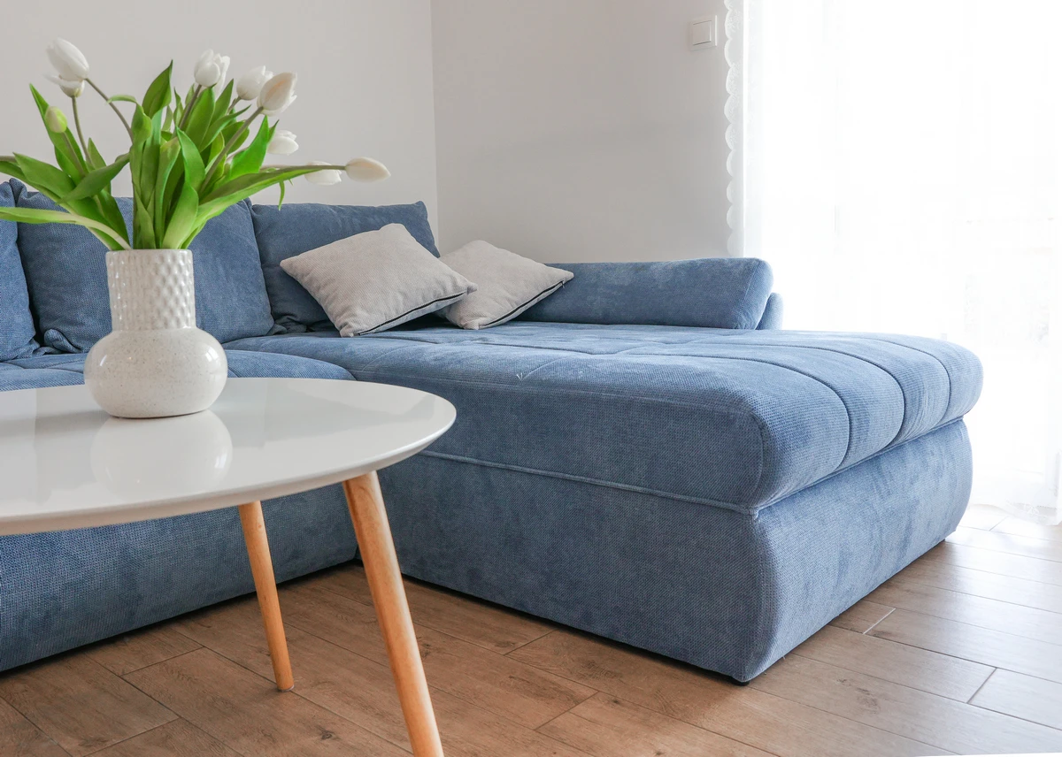 apartment-1 living room